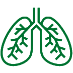 green lung icon