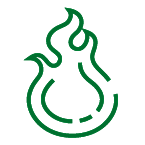Green flame icon
