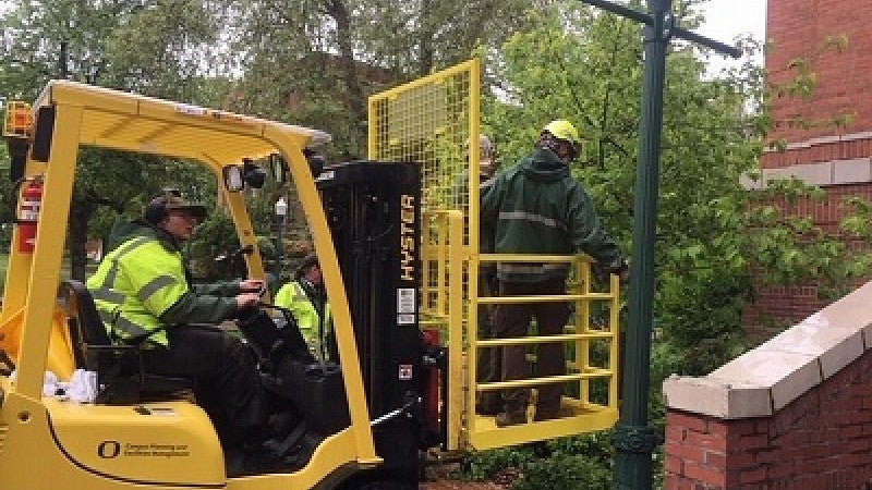 Staff hanging baskets from forklift platform